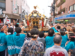 浦安祭り